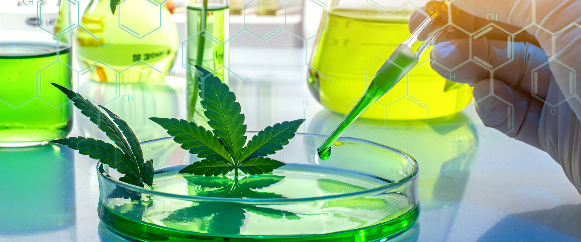 Hero Education 172950643 L 1920